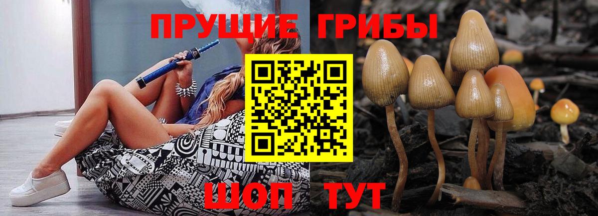 Псилоцибиновые грибы Cubensis Моршанск